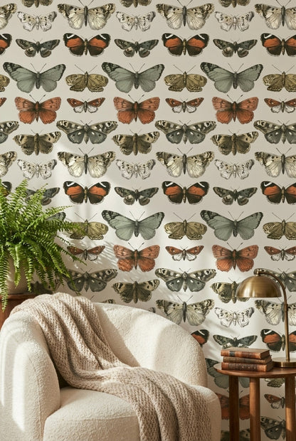 Kelebek Desenli Duvar Kağıdı Vintage Doğa Temalı Salon