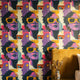 Pop Art Duvar Kağıdı