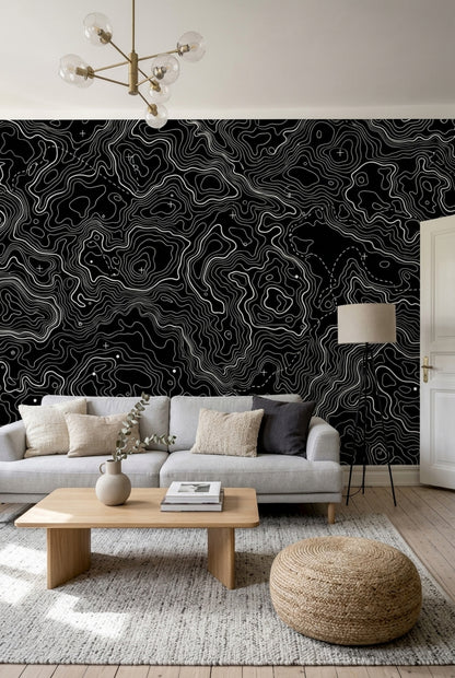 Topografik Harita Çizgili Poster Duvar Kağıdı Siyah Beyaz